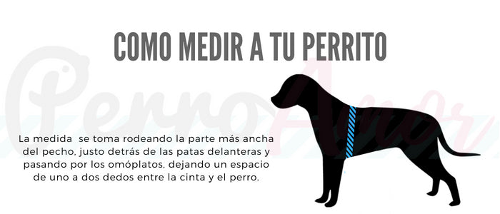 Arnés "Sereno Moreno"