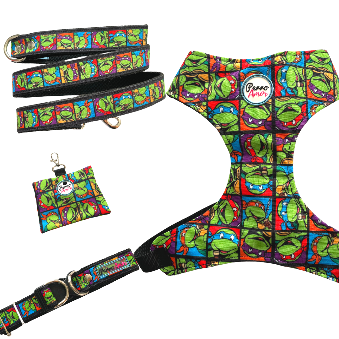 Kit Todo Mío " Tortugas "