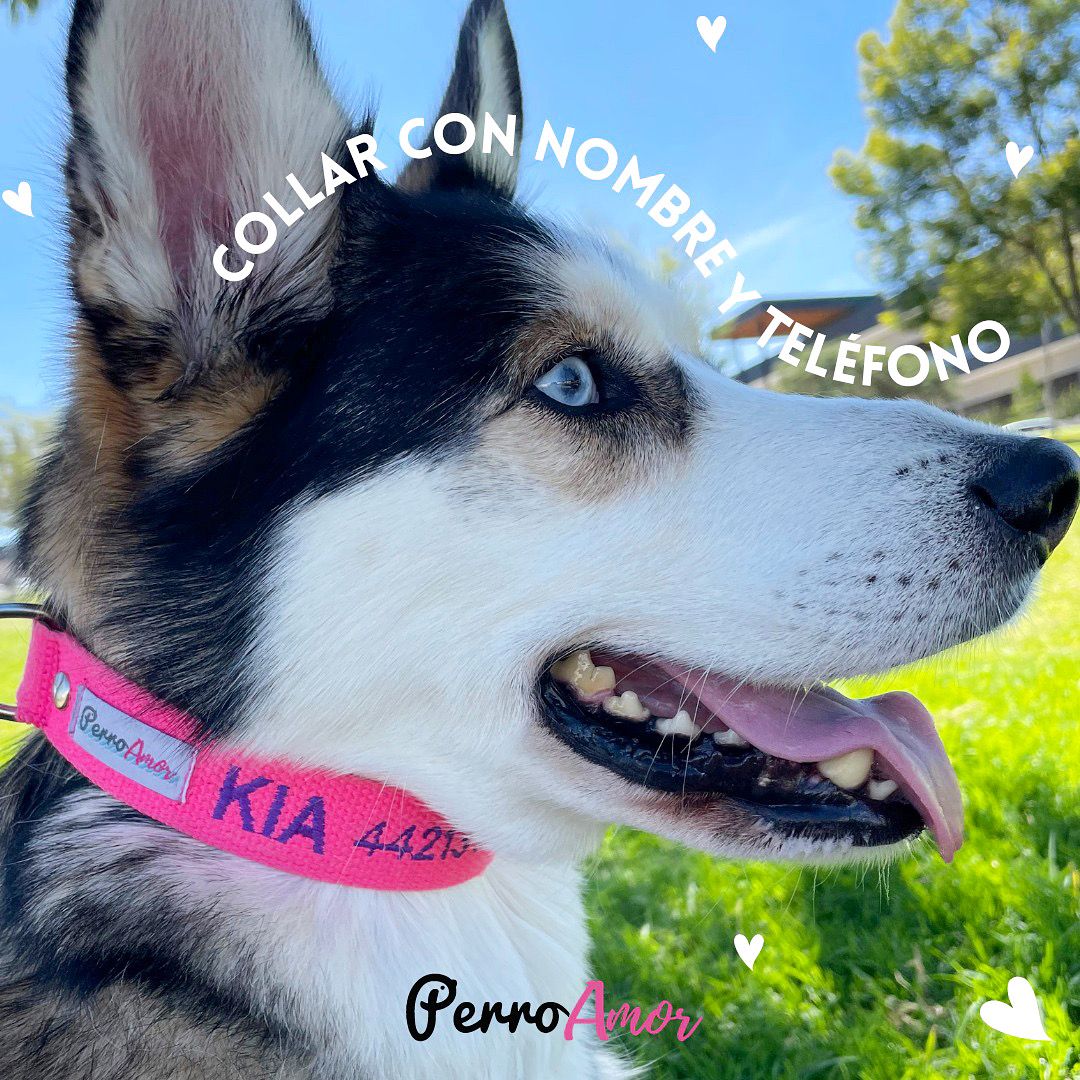 Collar Santo Remedio