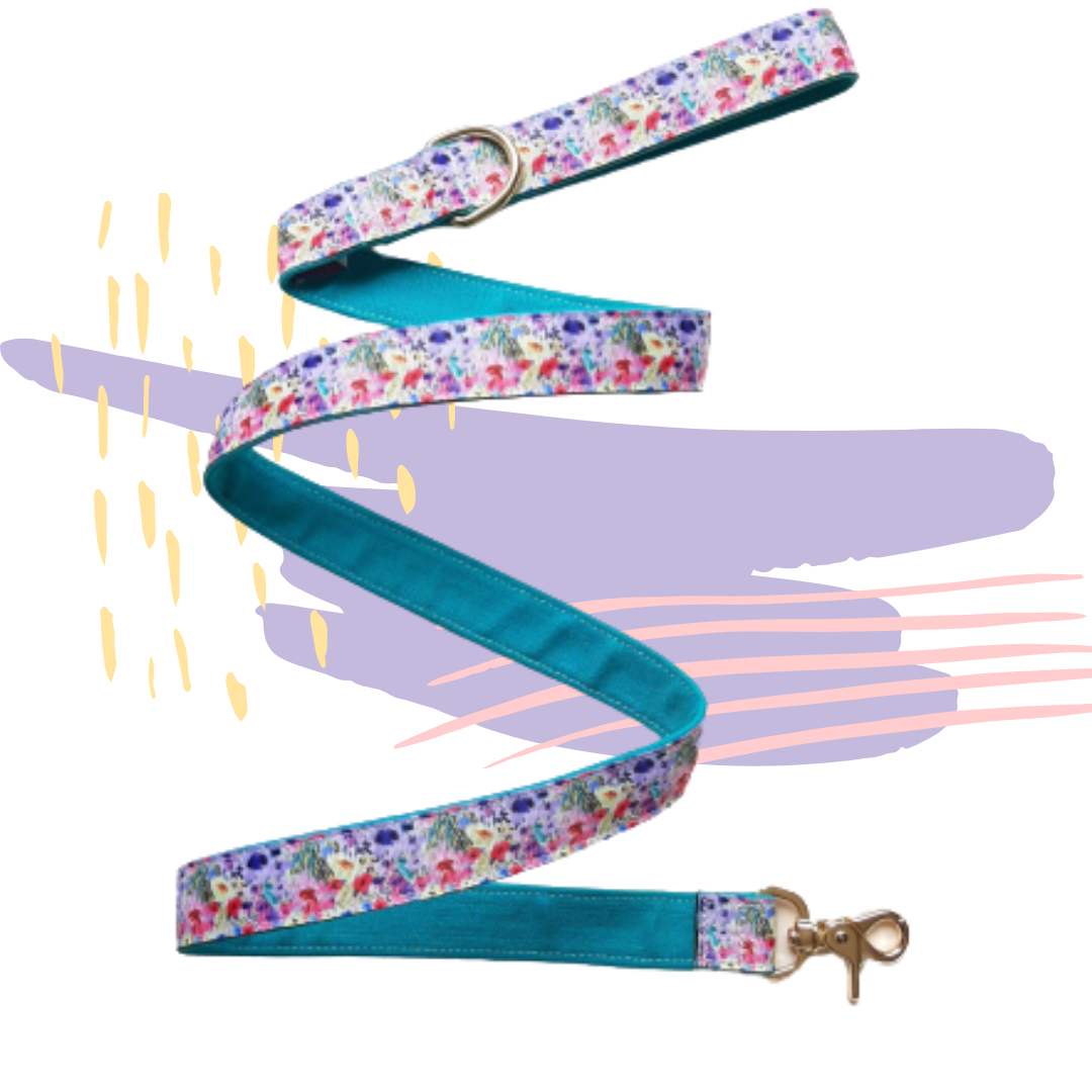 Correa Fifí "Florece"