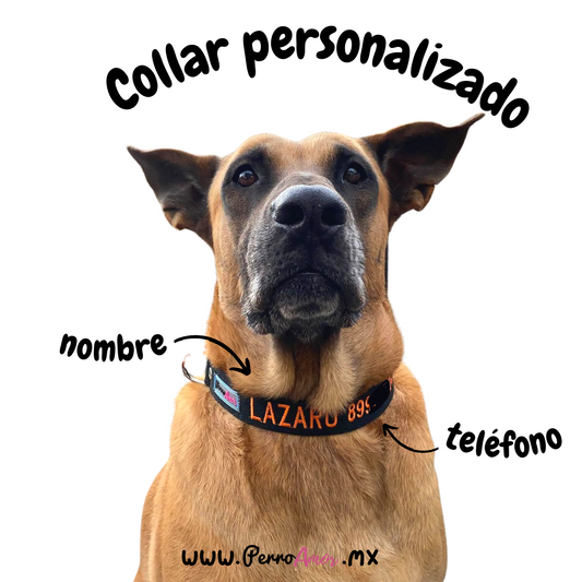 Collar Santo Remedio