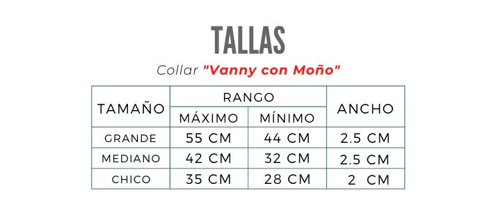 Vanny + Moño "Víbora"