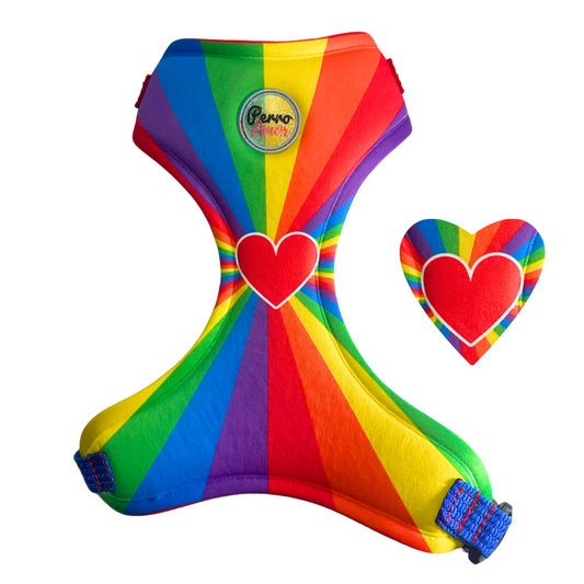 Pechera " Love is Love "