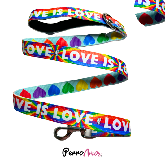 Correa Binomio  " Love is Love "