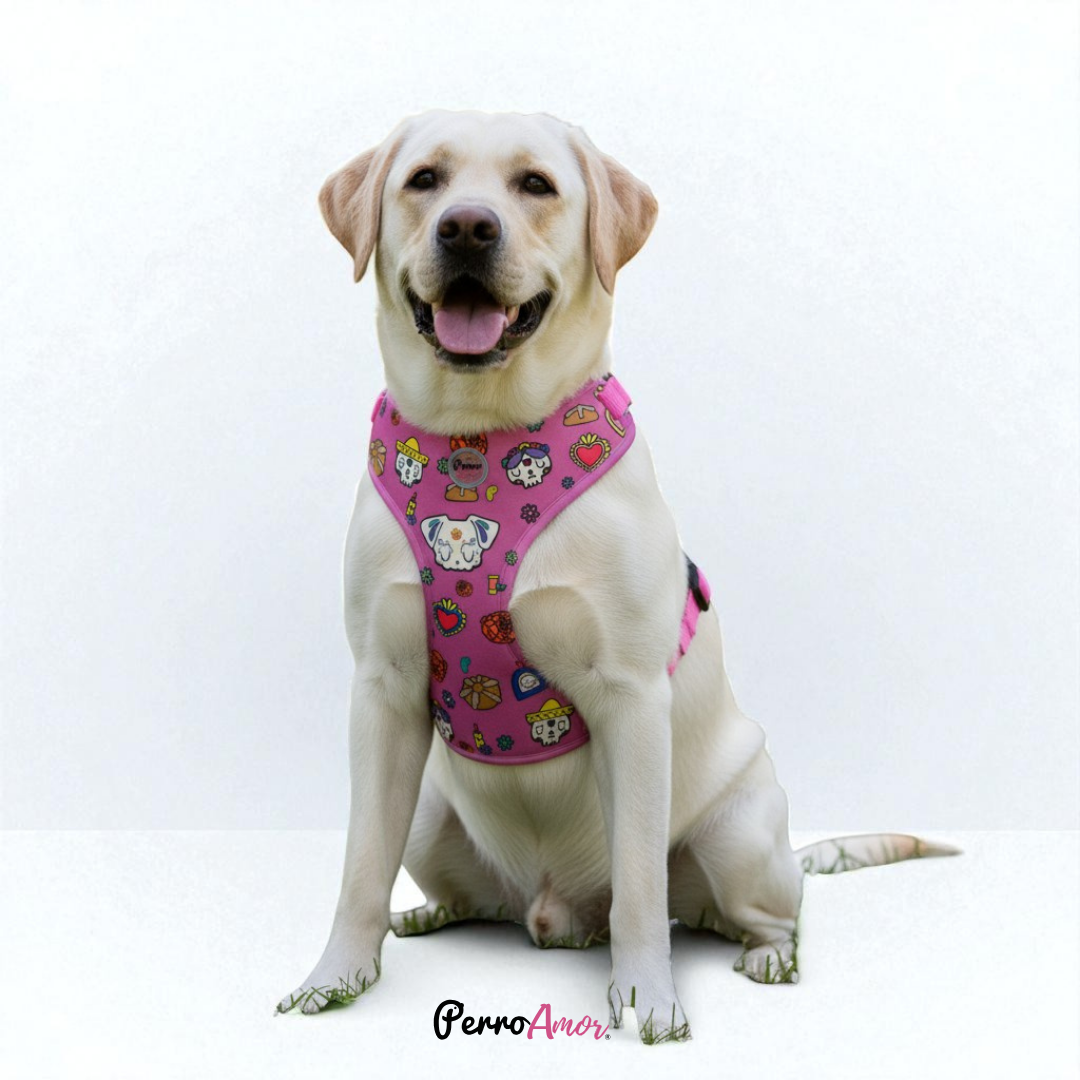 Pechera " Ofrendita Rosa "