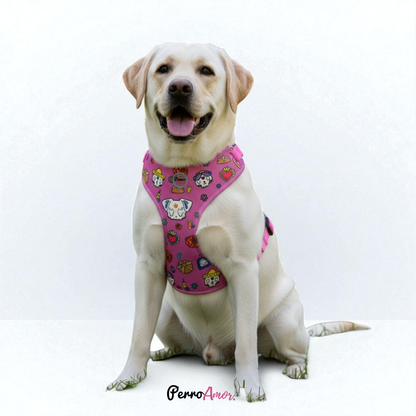 Pechera " Ofrendita Rosa "