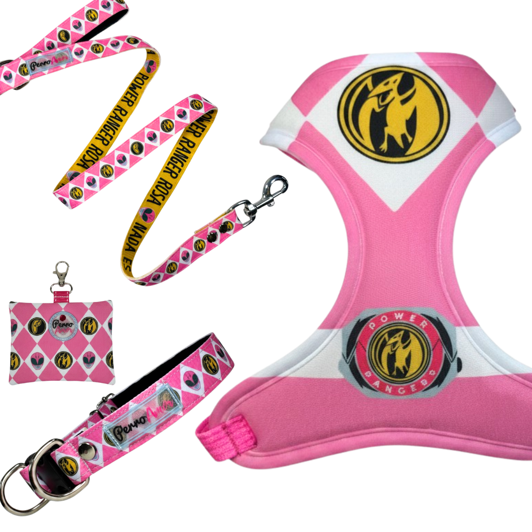 Kit Todo Mío " Ranger Rosa "