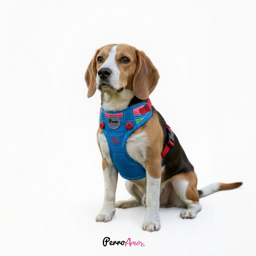 Pechera " Good Guy "