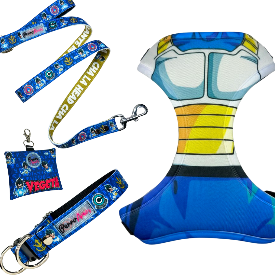 Kit Todo Mío " Vegeta "