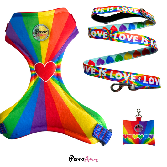 Combo Caminata " Love is Love  "