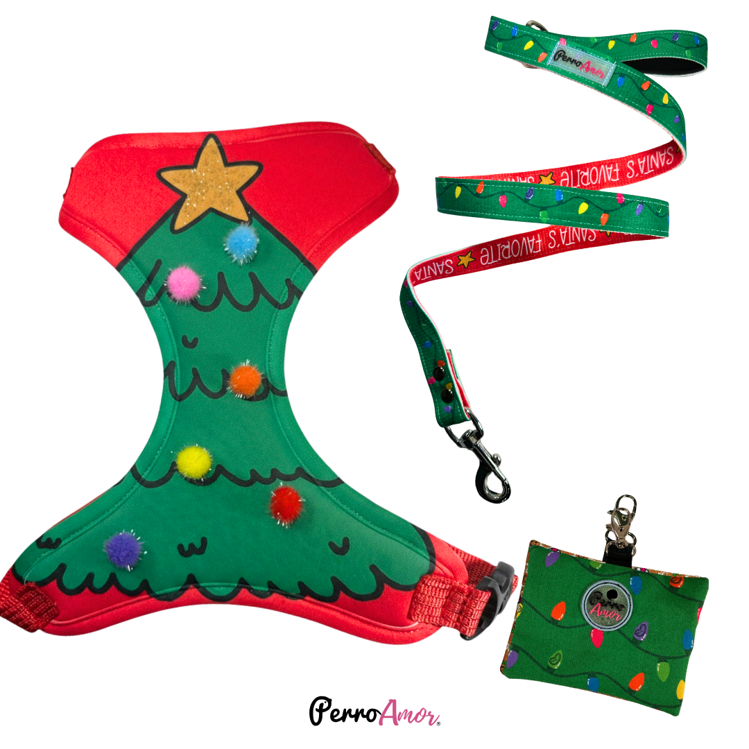 Combo Caminata " Arbol "