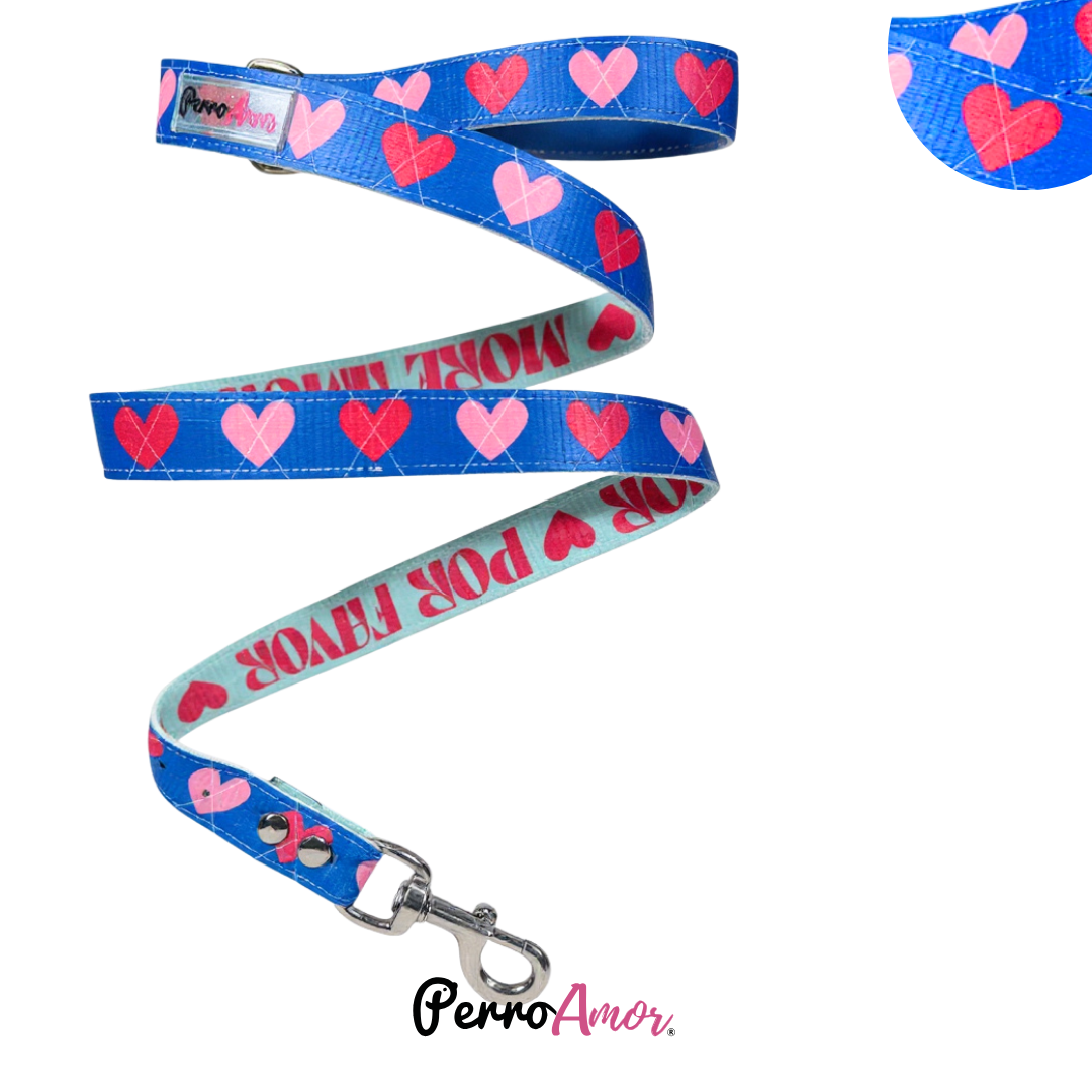 Correa Binomio  " Preppy Azul "