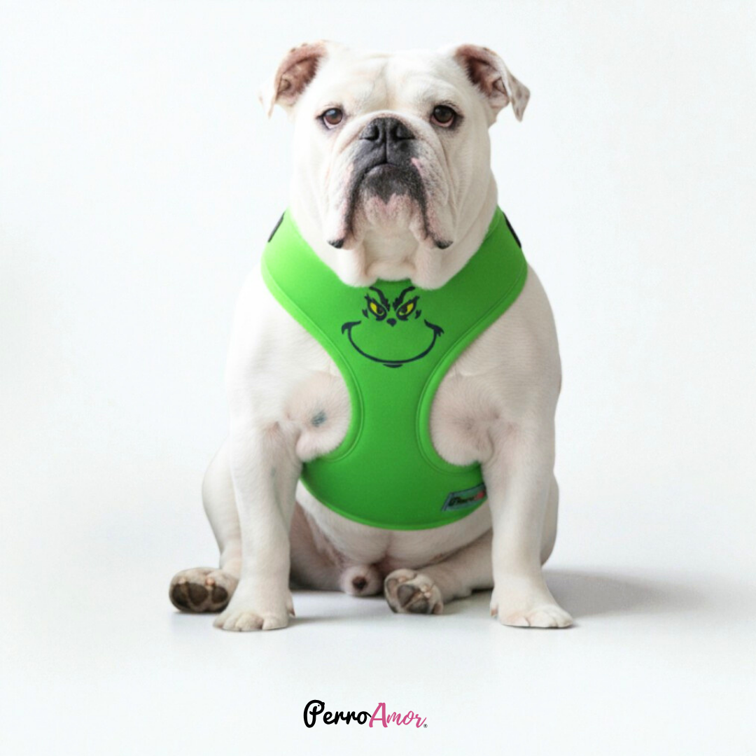 Pechera " Grinchpaws "