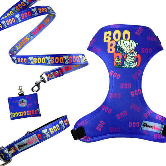 Kit Todo Mío " Sboopy "