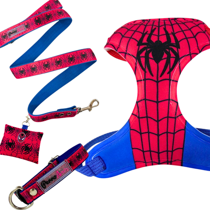 Kit Todo Mío " Hombre Araña "