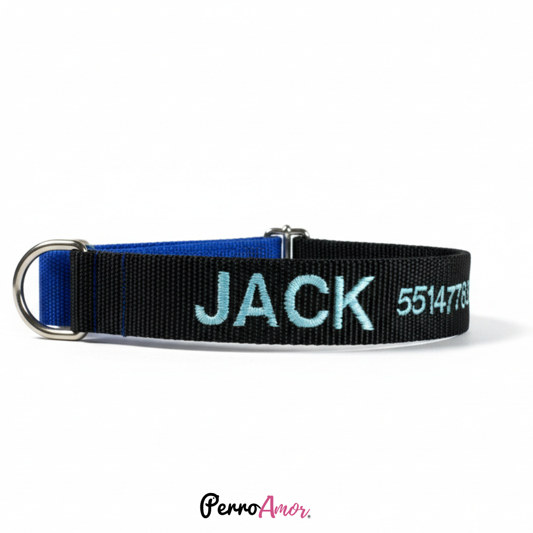 Collar Martingale Identificacion