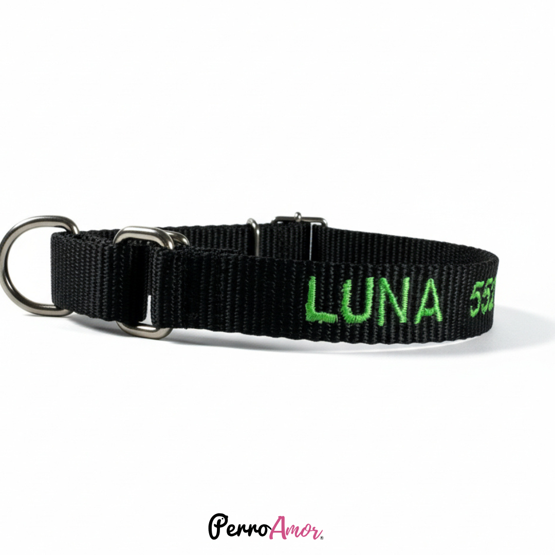 Collar Martingale Identificacion