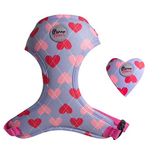 Pechera " Preppy Rosa "