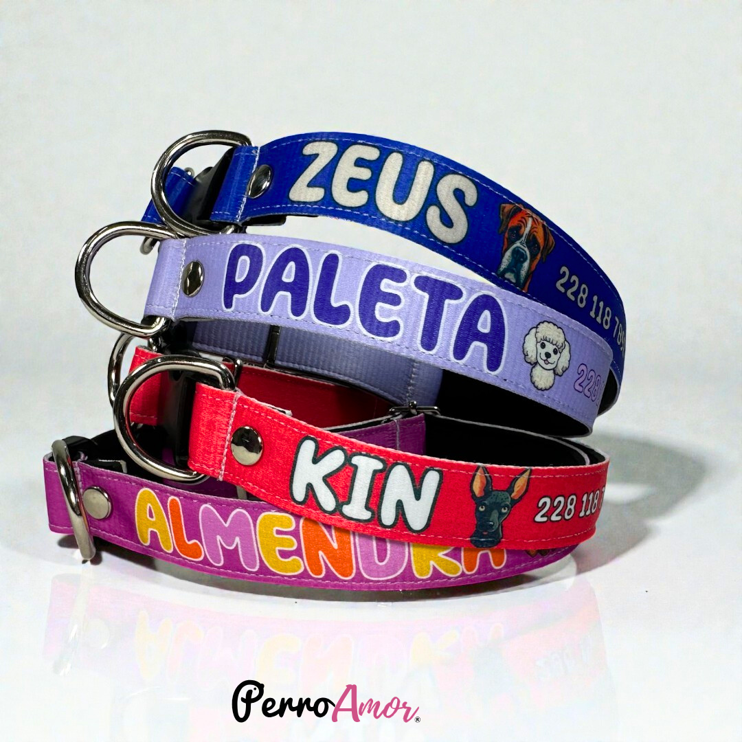 Collar Perronalizado