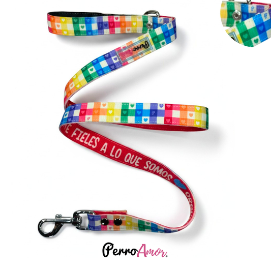 Correa Binomio  " Rainbow "