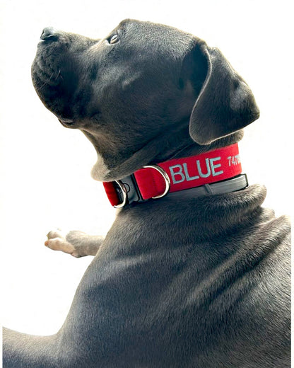 Collar Santo Remedio Táctico