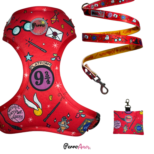 Combo Caminata " Harry Paws "