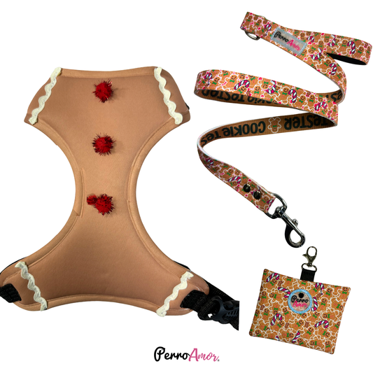 Combo Caminata " Galleta "