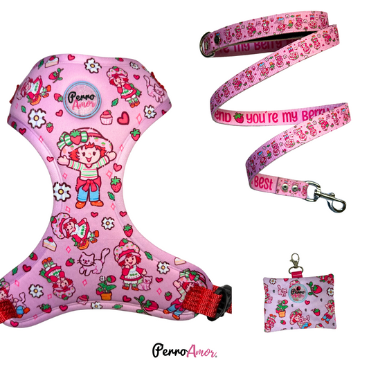 Combo Caminata " Rosita "