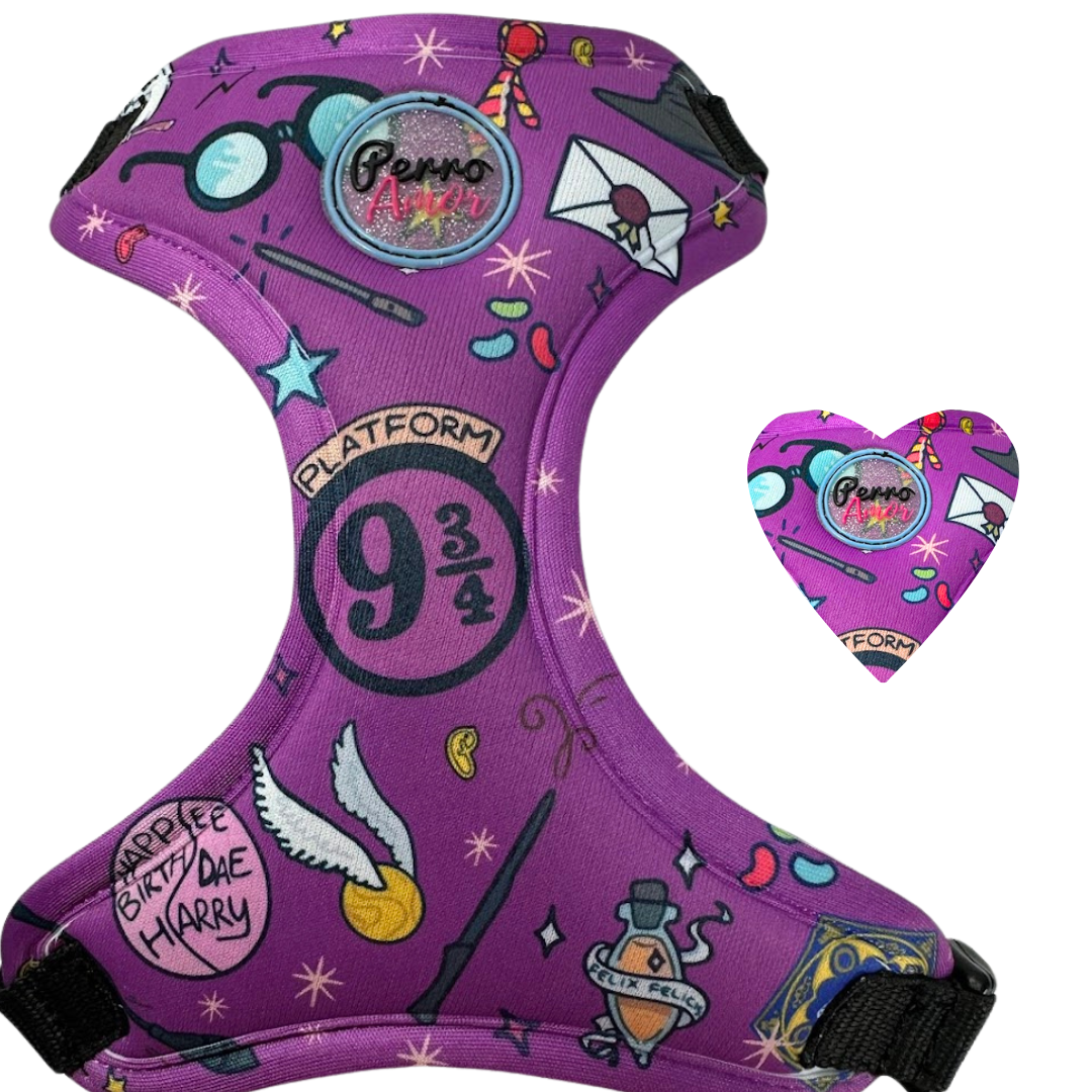 Pechera " Harry Paws Morado"