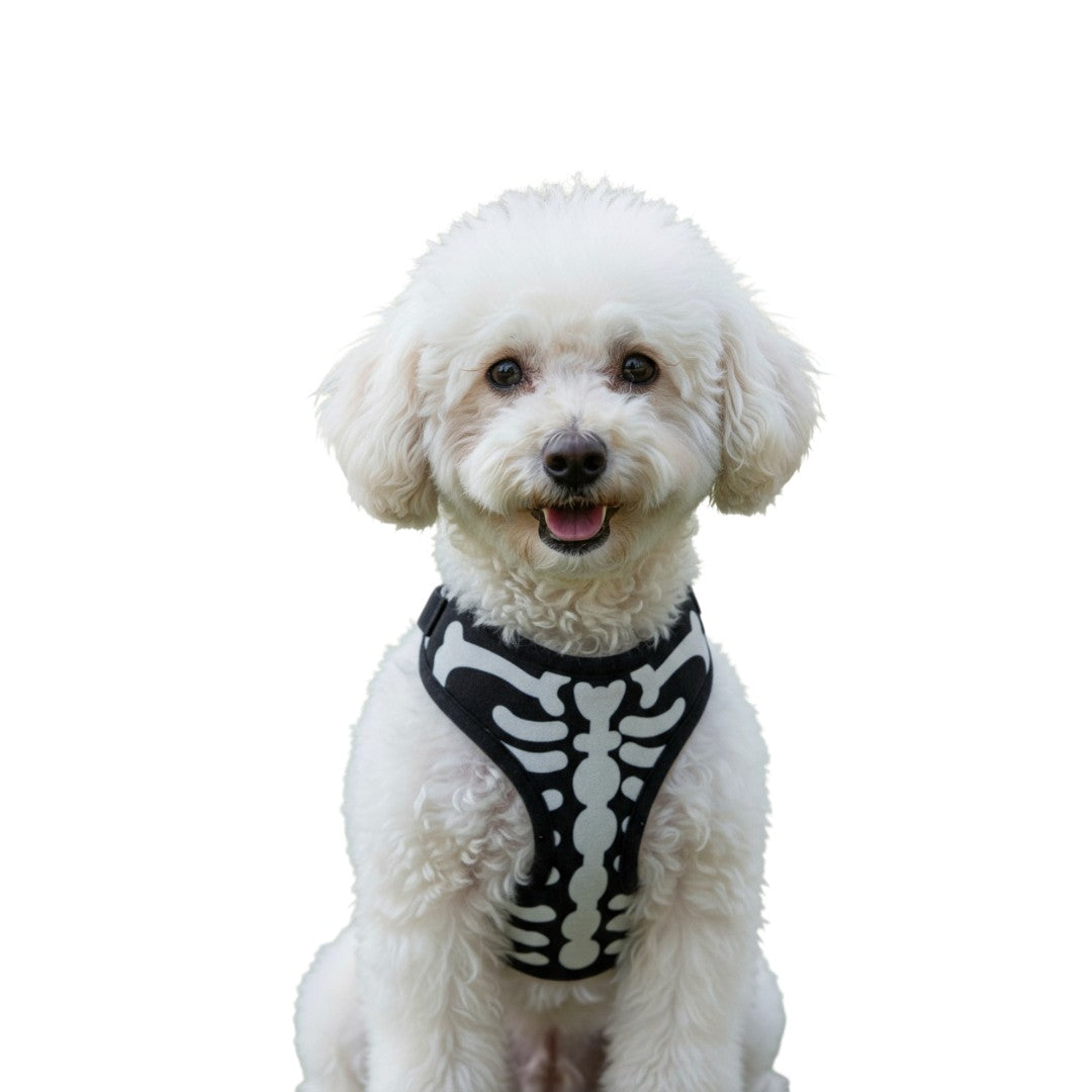 Pechera " Huesitos "