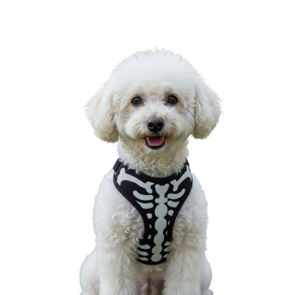 Pechera " Huesitos "