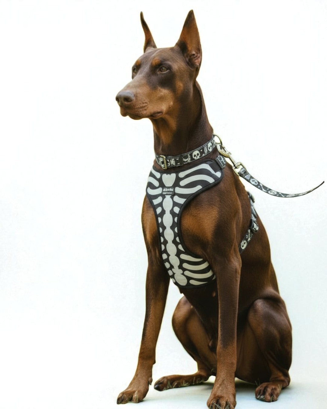 Kit Todo Mío " Huesitos "