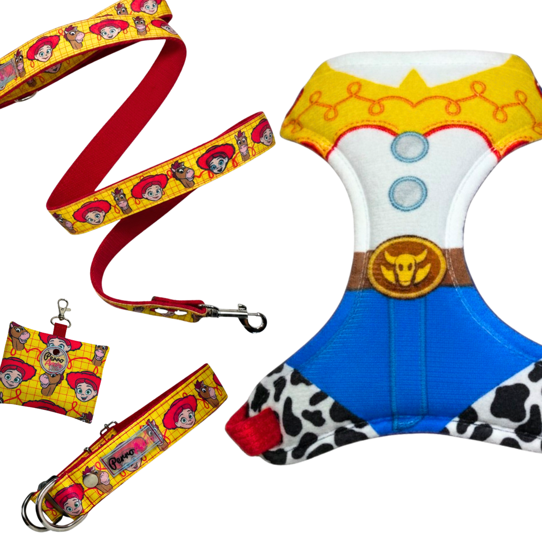 Kit Todo Mío " Vaquera "