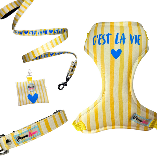 Kit Todo Mío " La vie "