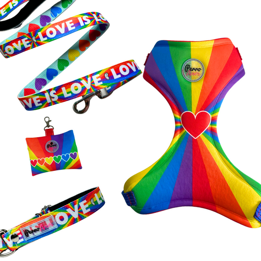 Kit Todo Mío " Love is love  "