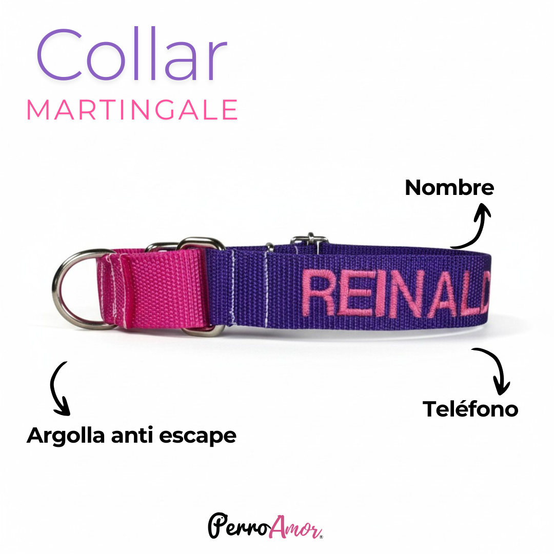 Collar Martingale Identificacion