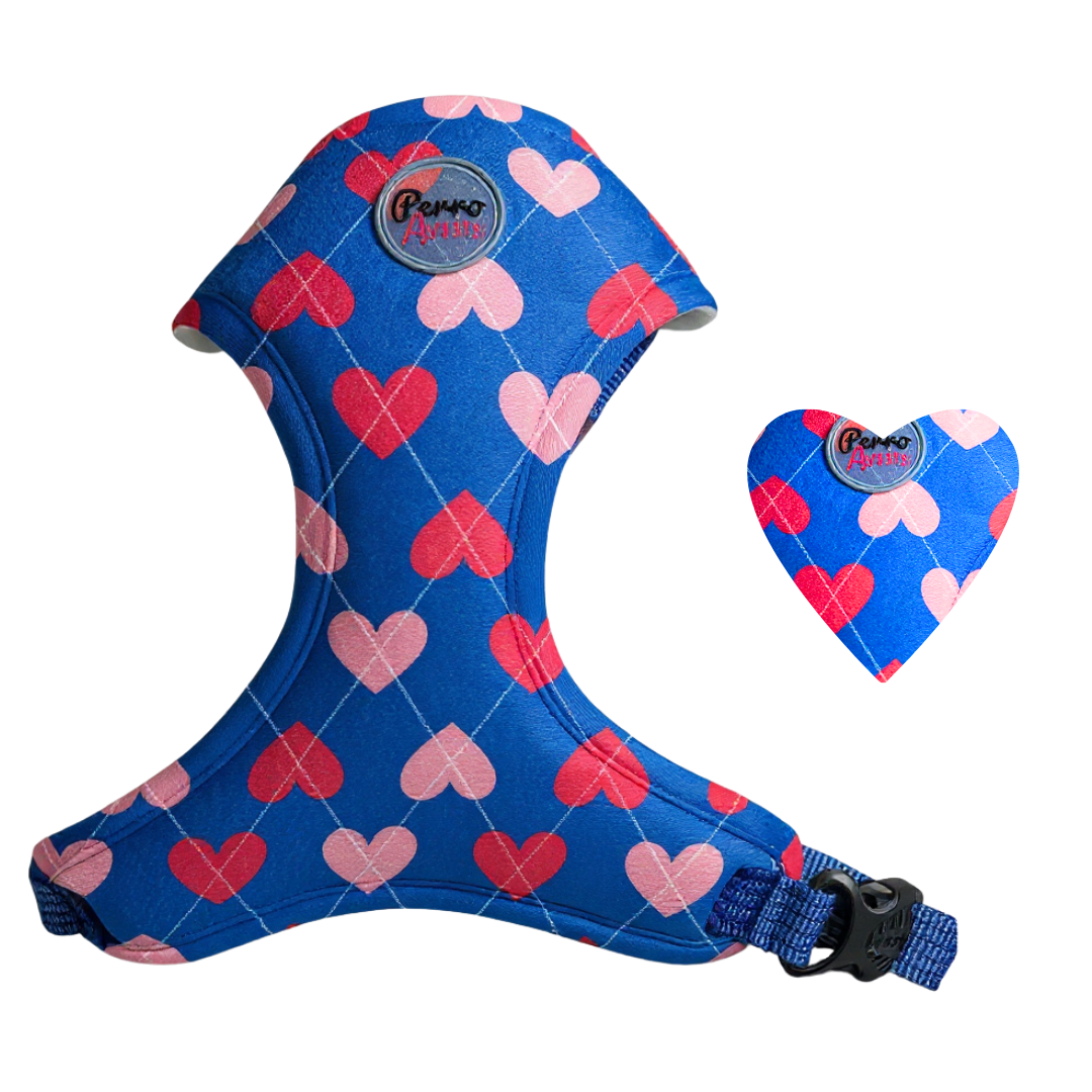 Pechera " Preppy Azul "