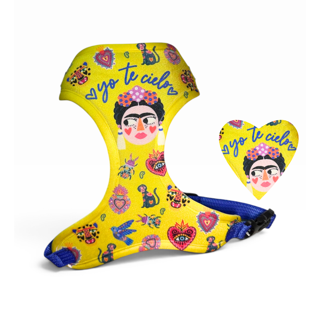 Pechera " Fridita "