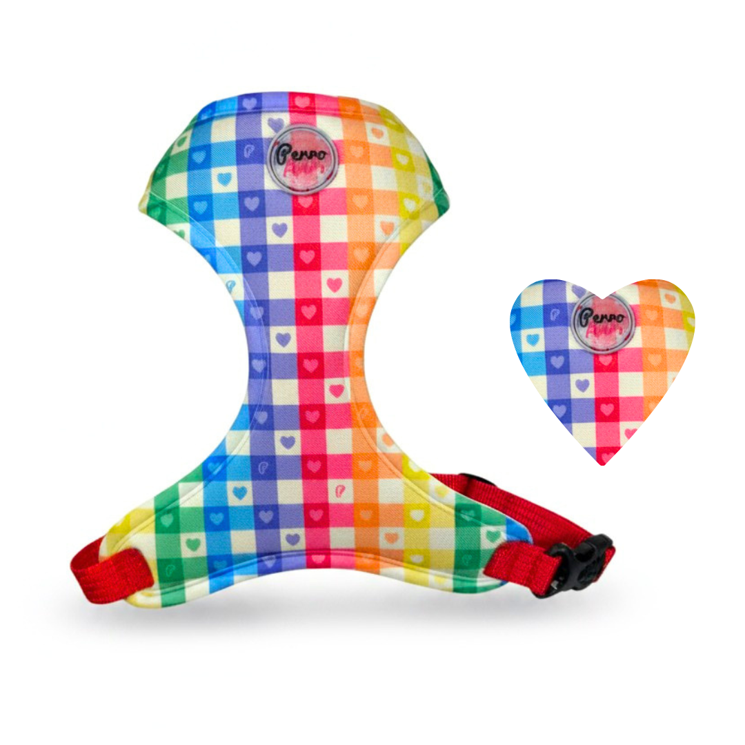 Pechera " Rainbow "