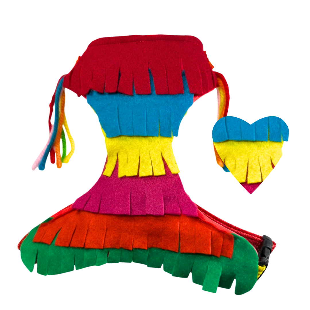 Pechera " Piñata "